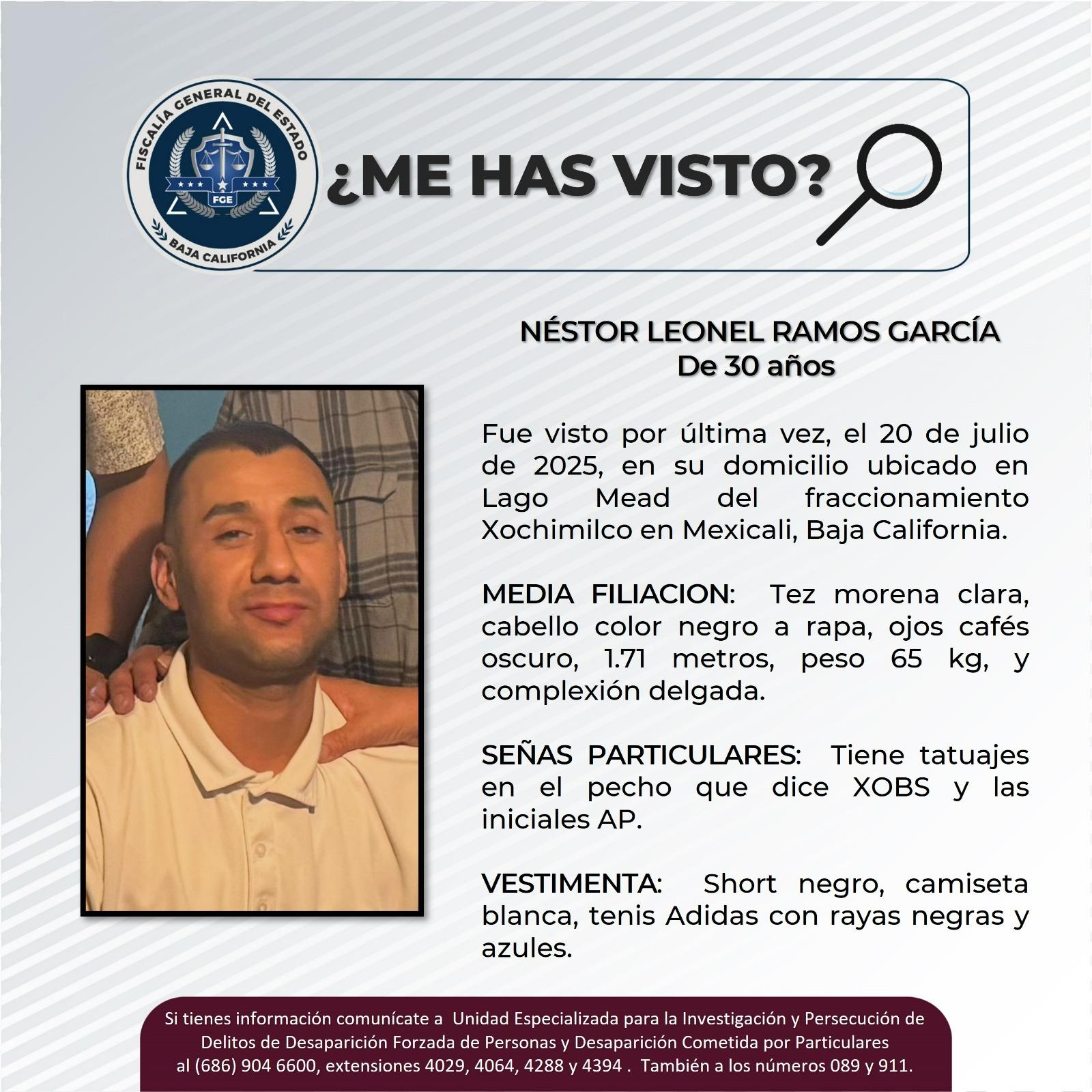 pesquisa_néstor_leonel_ramos_garcía_30