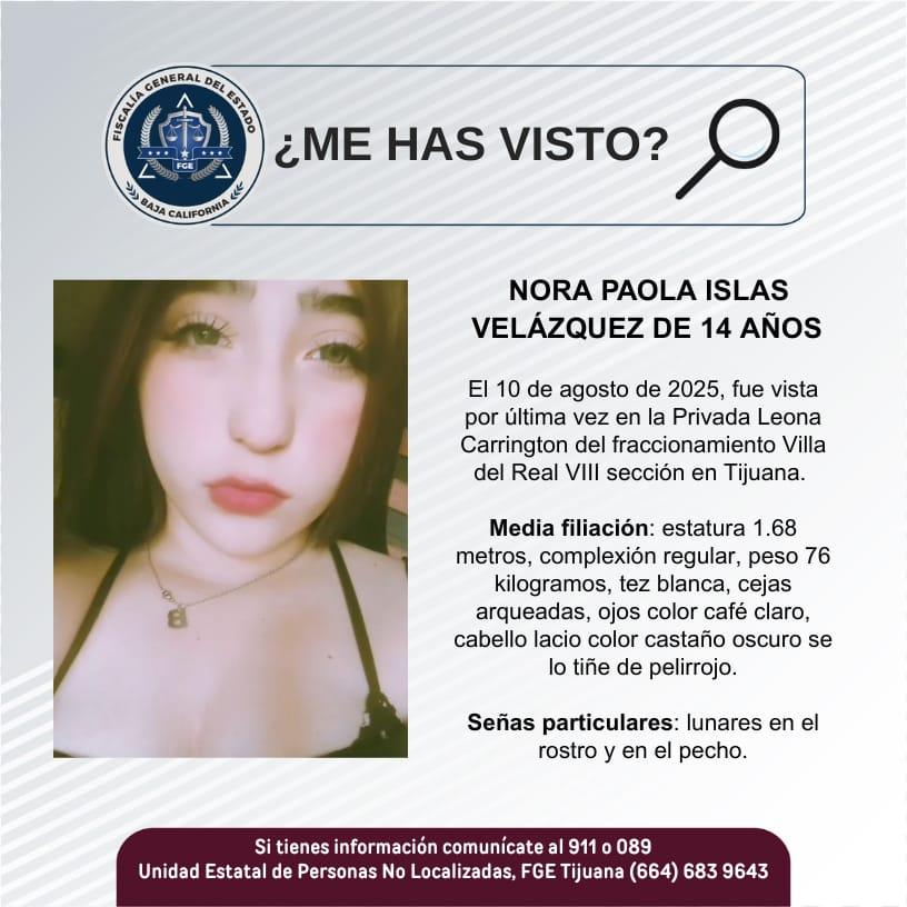 pesquisa_nora_paola_islas_velázquez_de_14