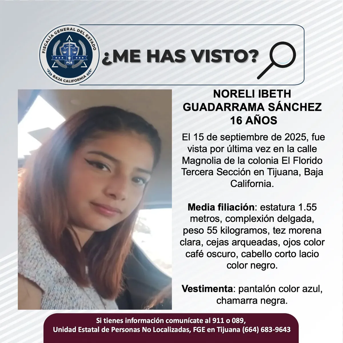 pesquisa_noreli_ibeth_guadarrama_sánchez_16