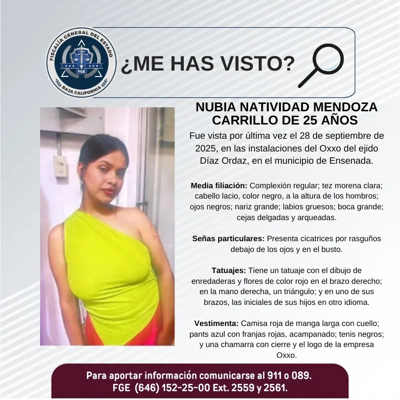 pesquisa_nubia_natividad_mendoza_carrillo_25