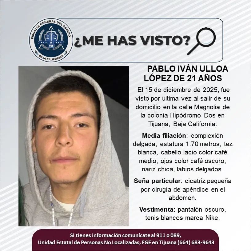 pesquisa_pablo_iván_ulloa_lópez_21