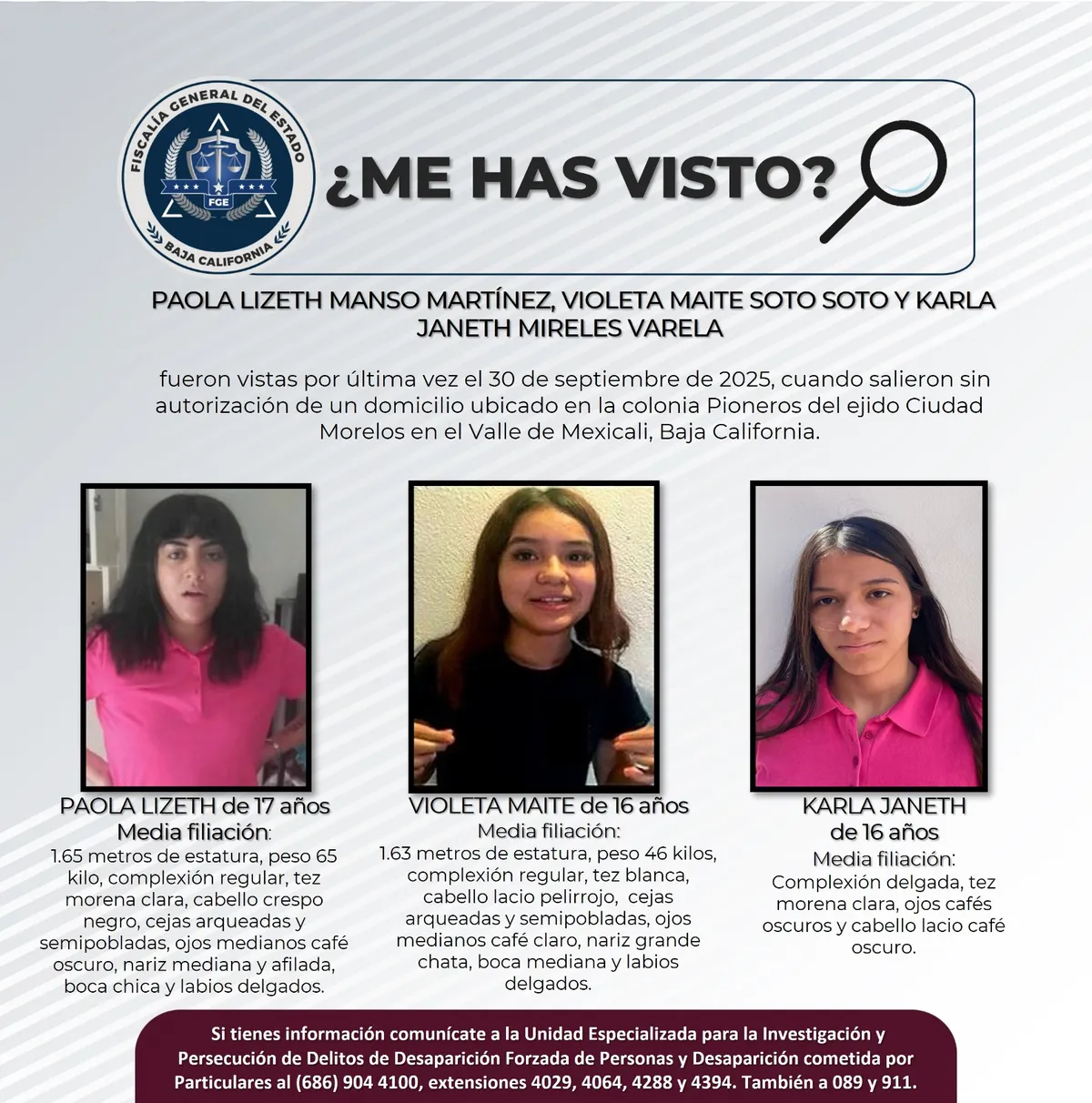 pesquisa_paola_lizeth_manso_martínez_violeta_maite_soto_soto_y_karla_janeth_mireles_varela_17_16_16