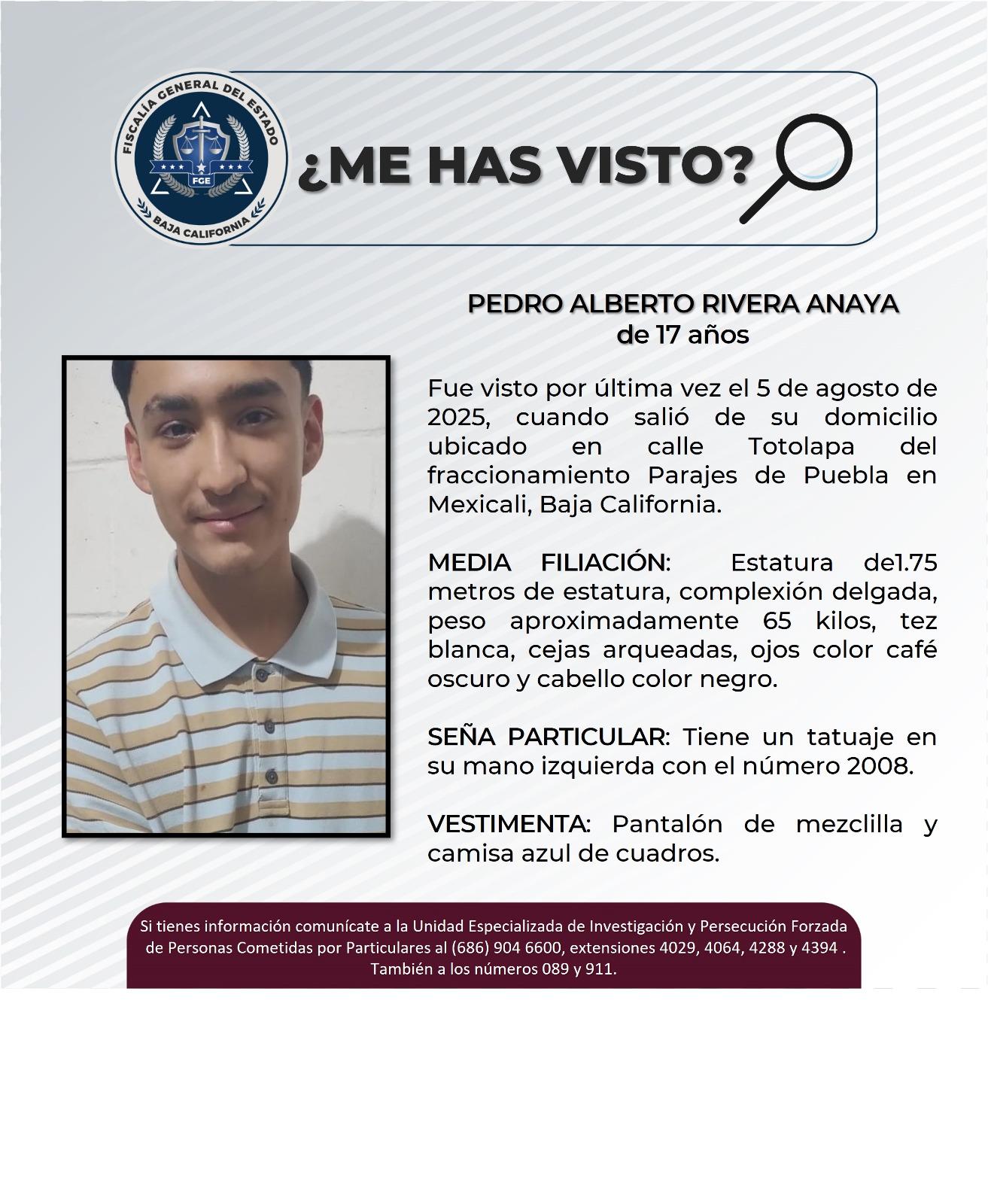 pesquisa_pedro_alberto_rivera_anaya_17