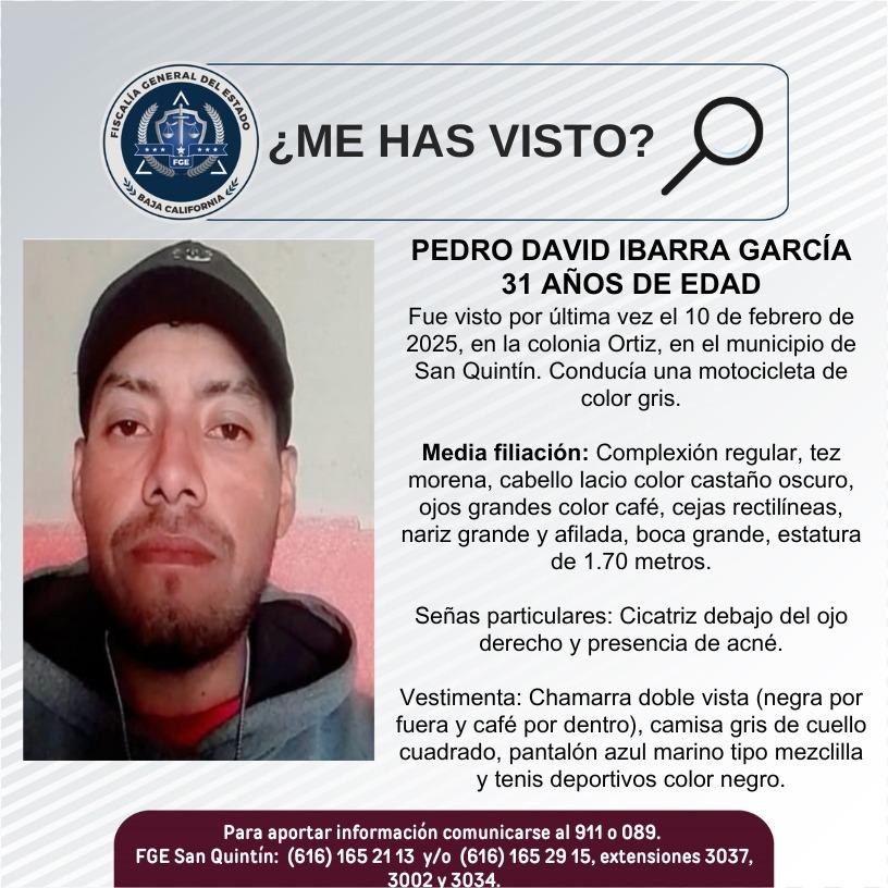 pesquisa_pedro_david_ibarra_garcía_31