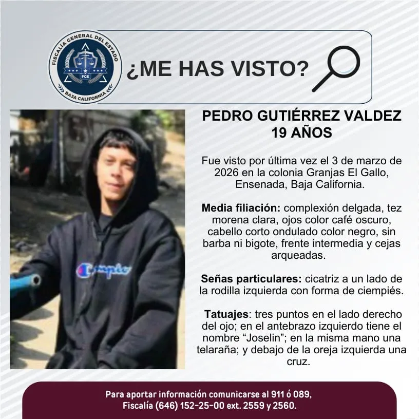 pesquisa_pedro_gutiérrez_valdez_19