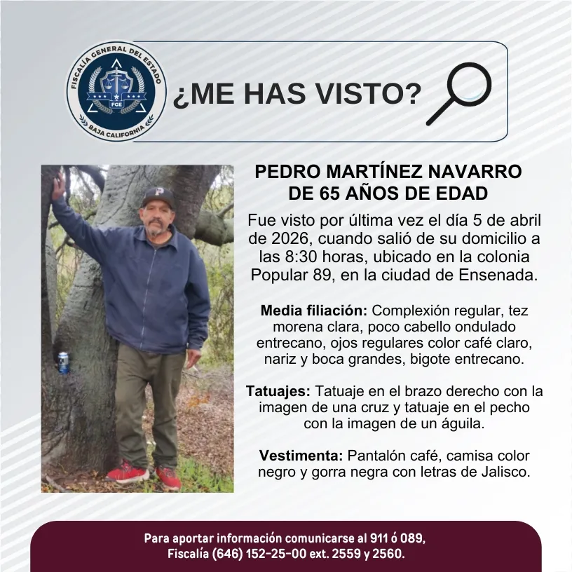 pesquisa_pedro_martínez_navarro_65