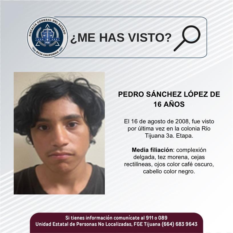 pesquisa_pedro_sánchez_lópez_16