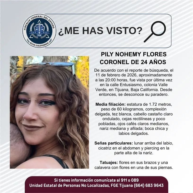 pesquisa_pily_nohemy_flores_coronel_24