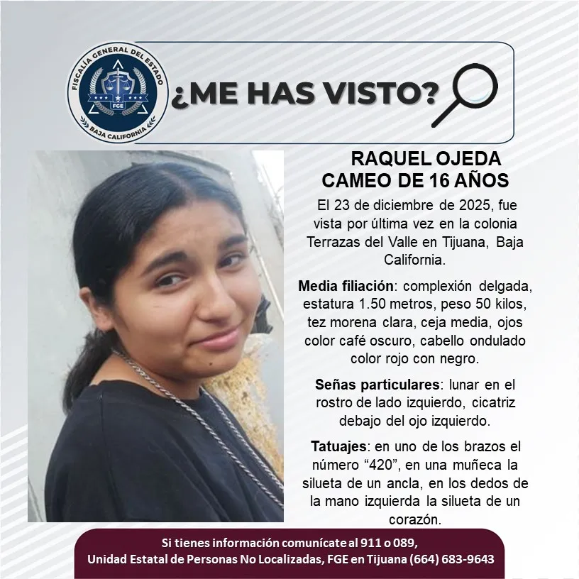 pesquisa_raquel_ojeda_cameo_16