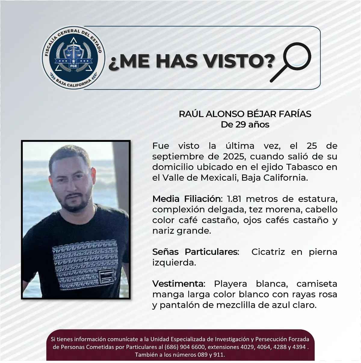 pesquisa_raúl_alonso_béjar_farías_29