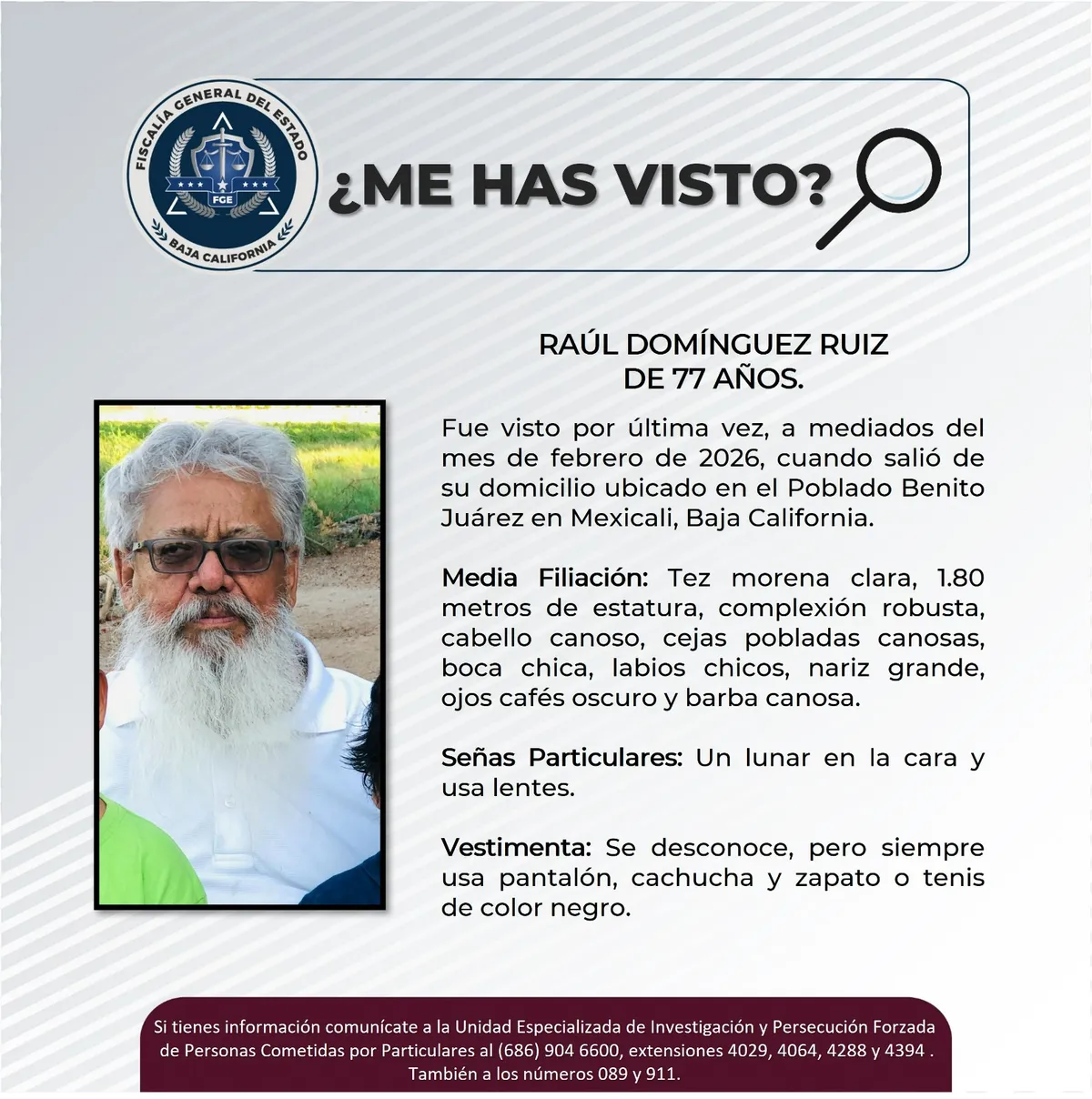 pesquisa_raúl_domínguez_ruiz_77