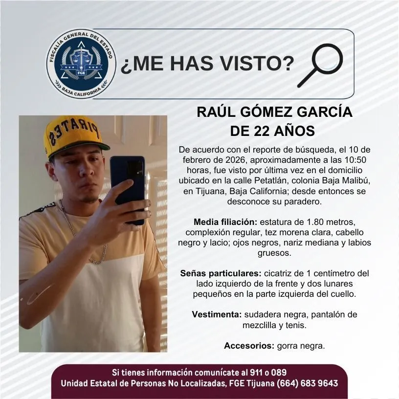 pesquisa_raúl_gómez_garcía_22