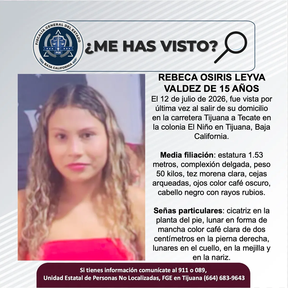 pesquisa_rebeca_osiris_leyva_valdez_15