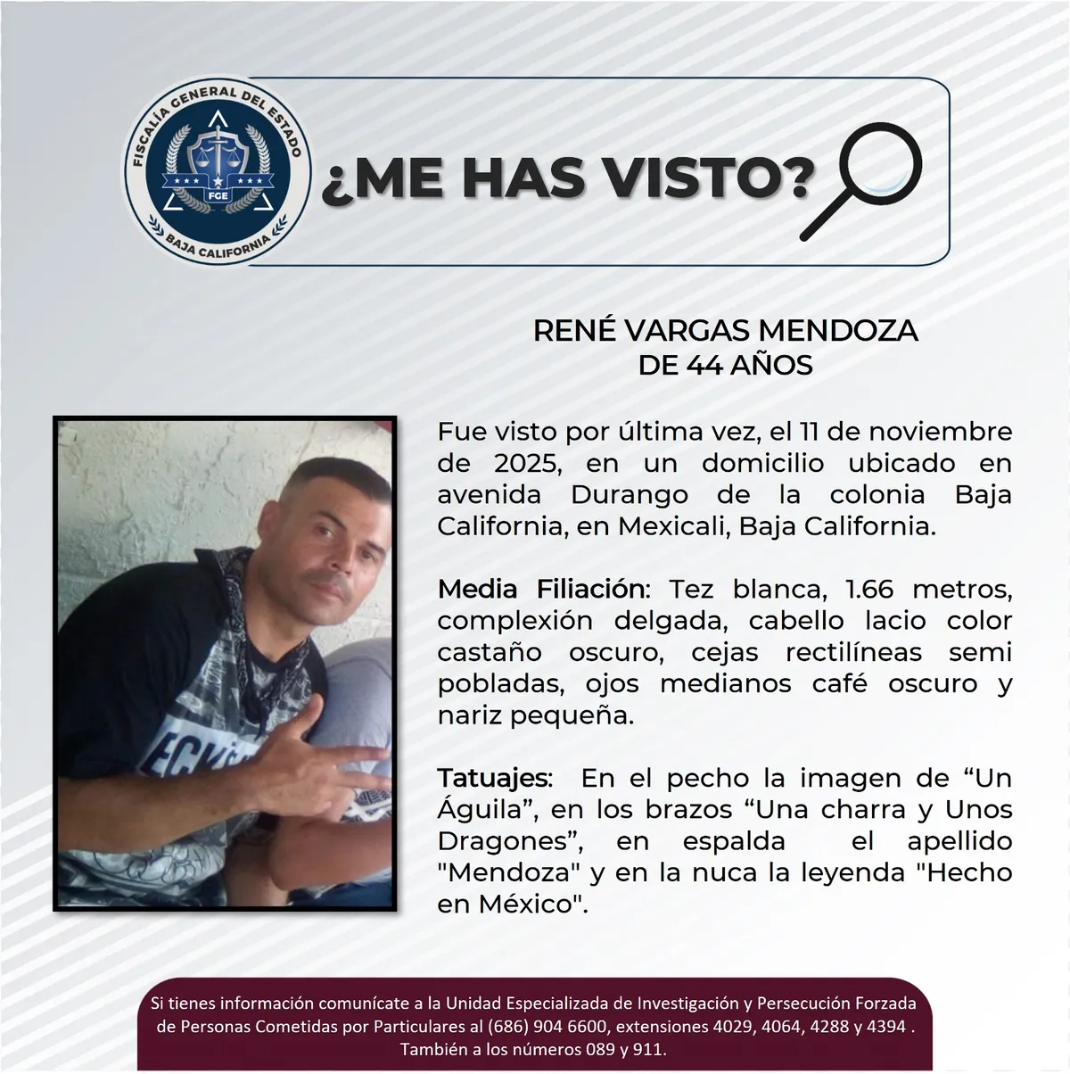 pesquisa_rené_vargas_mendoza_44