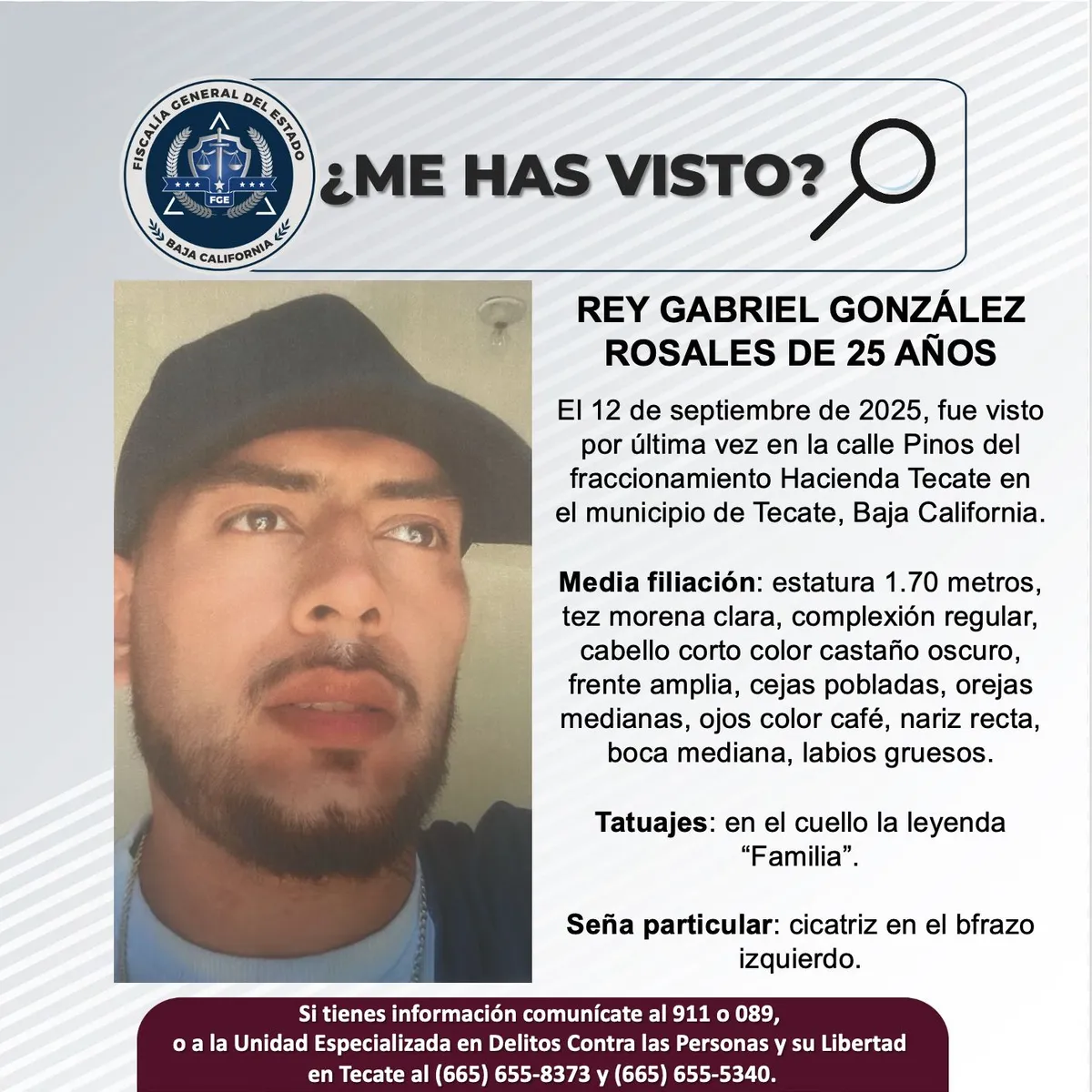 pesquisa_rey_gabriel_gonzález_rosales_25