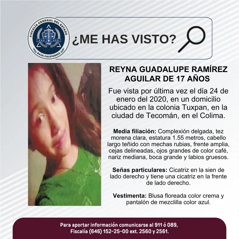 pesquisa_reyna_guadalupe_ramírez_aguilar_17