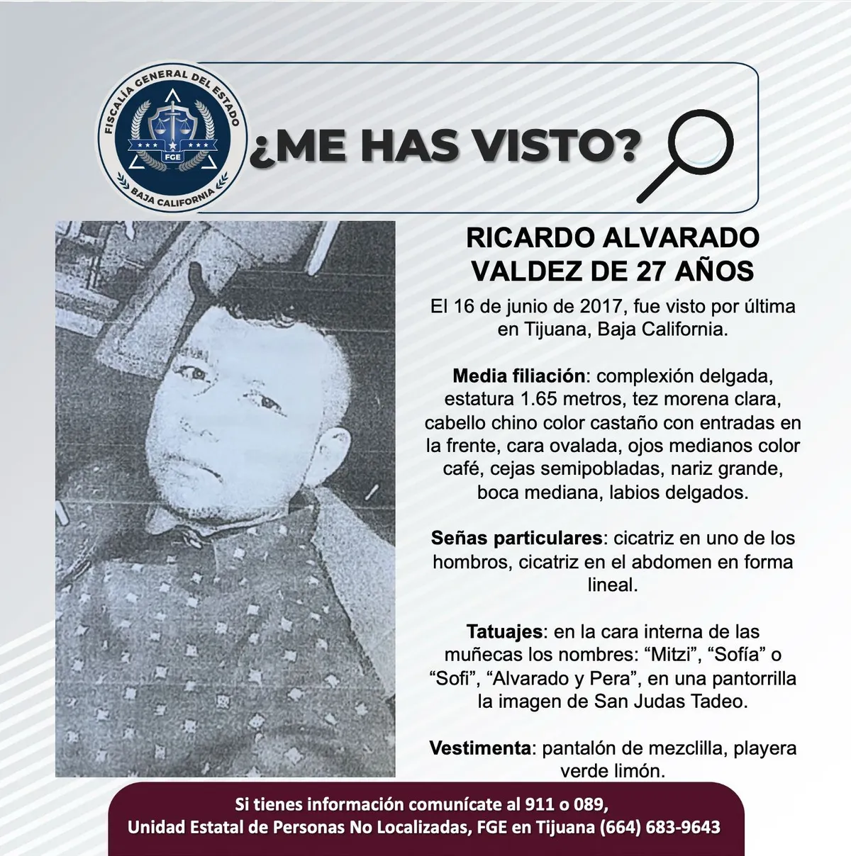 pesquisa_ricardo_alvarado_valdez_27