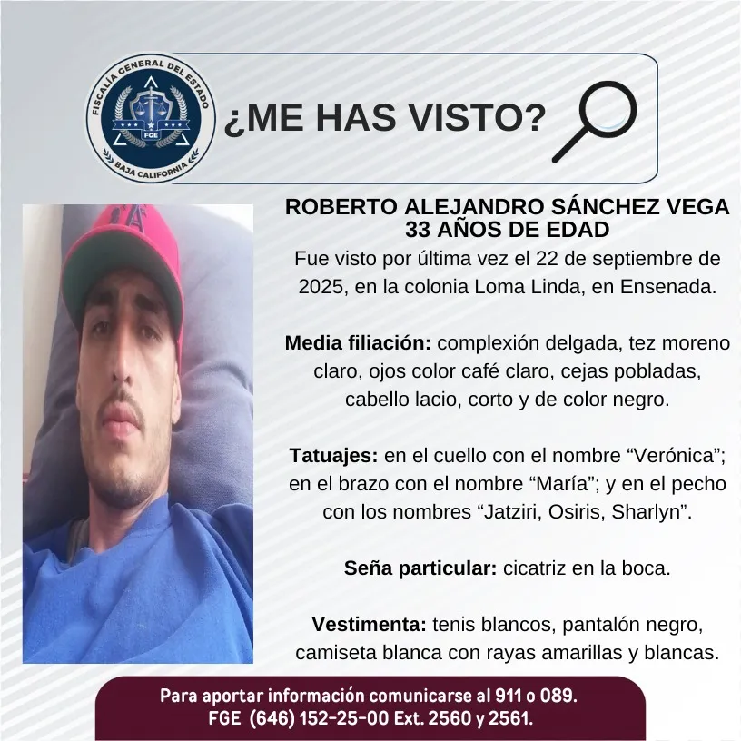 pesquisa_roberto_alejandro_sánchez_vega_33