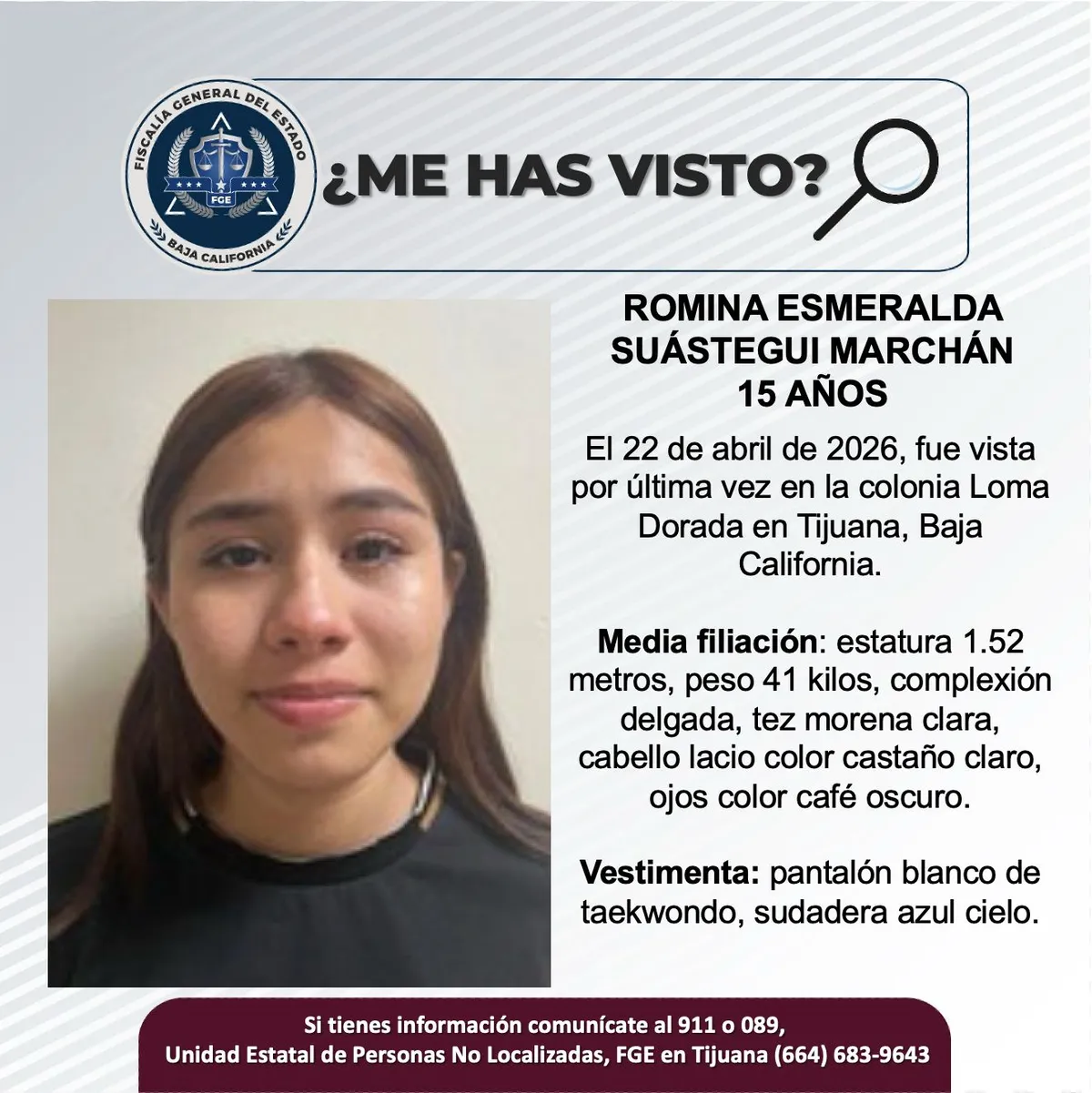 pesquisa_romina_esmeralda_suástegui_marchán_15