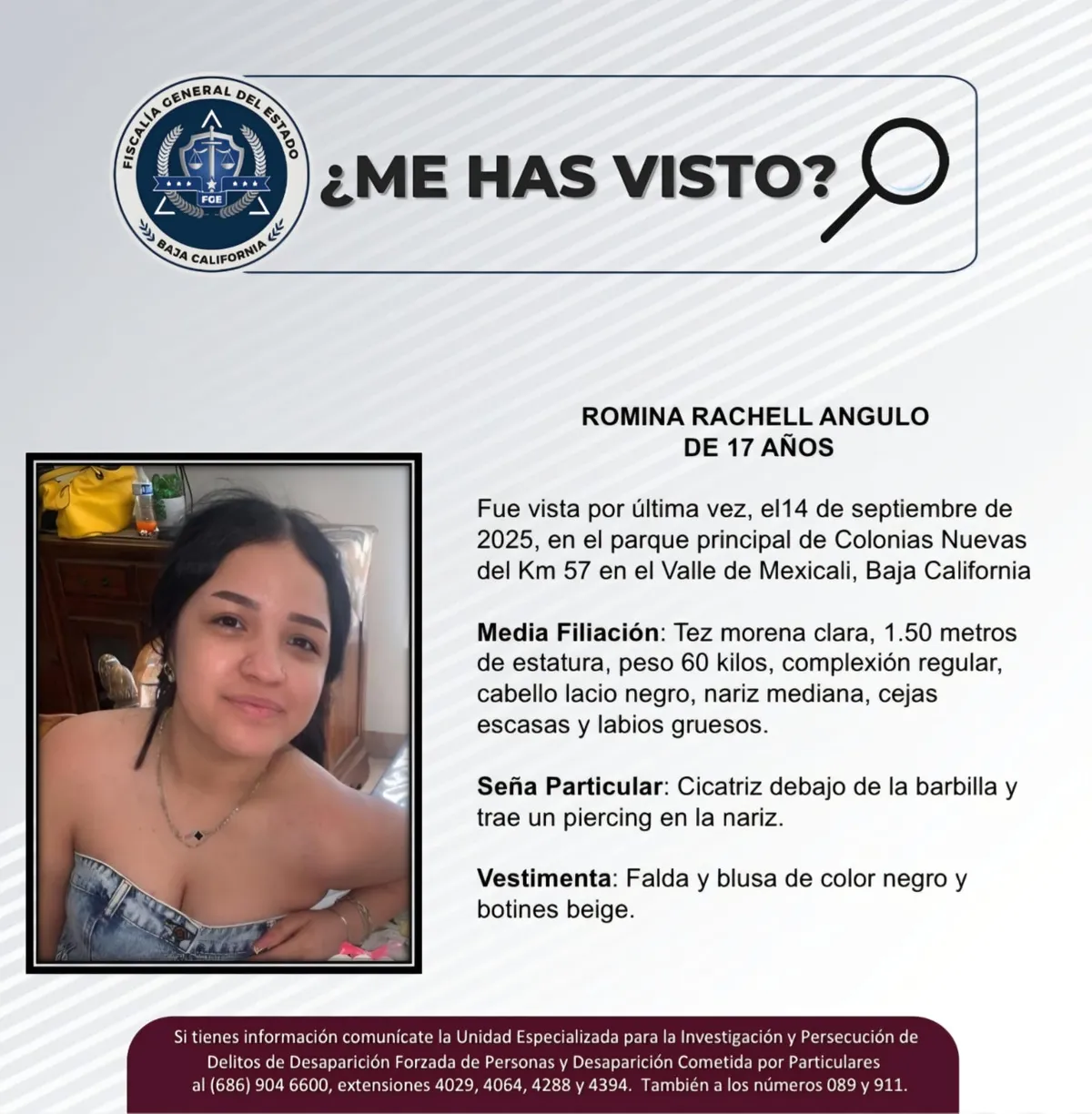 pesquisa_romina_rachell_angulo_17