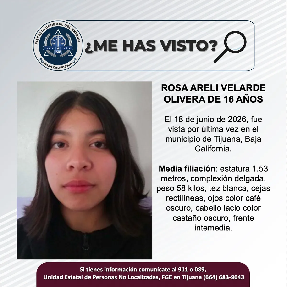 pesquisa_rosa_areli_velarde_olivera_16