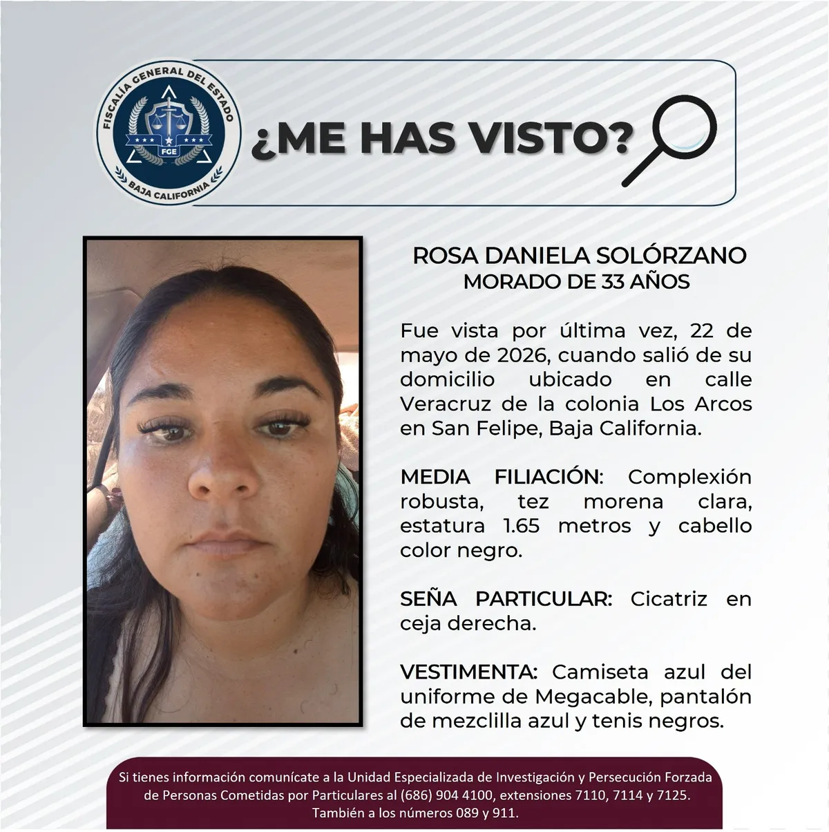 pesquisa_rosa_daniela_solórzano_morado_33