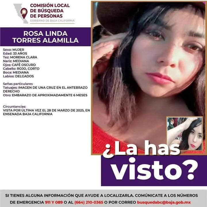 pesquisa_rosa_linda_torres_alamilla_33