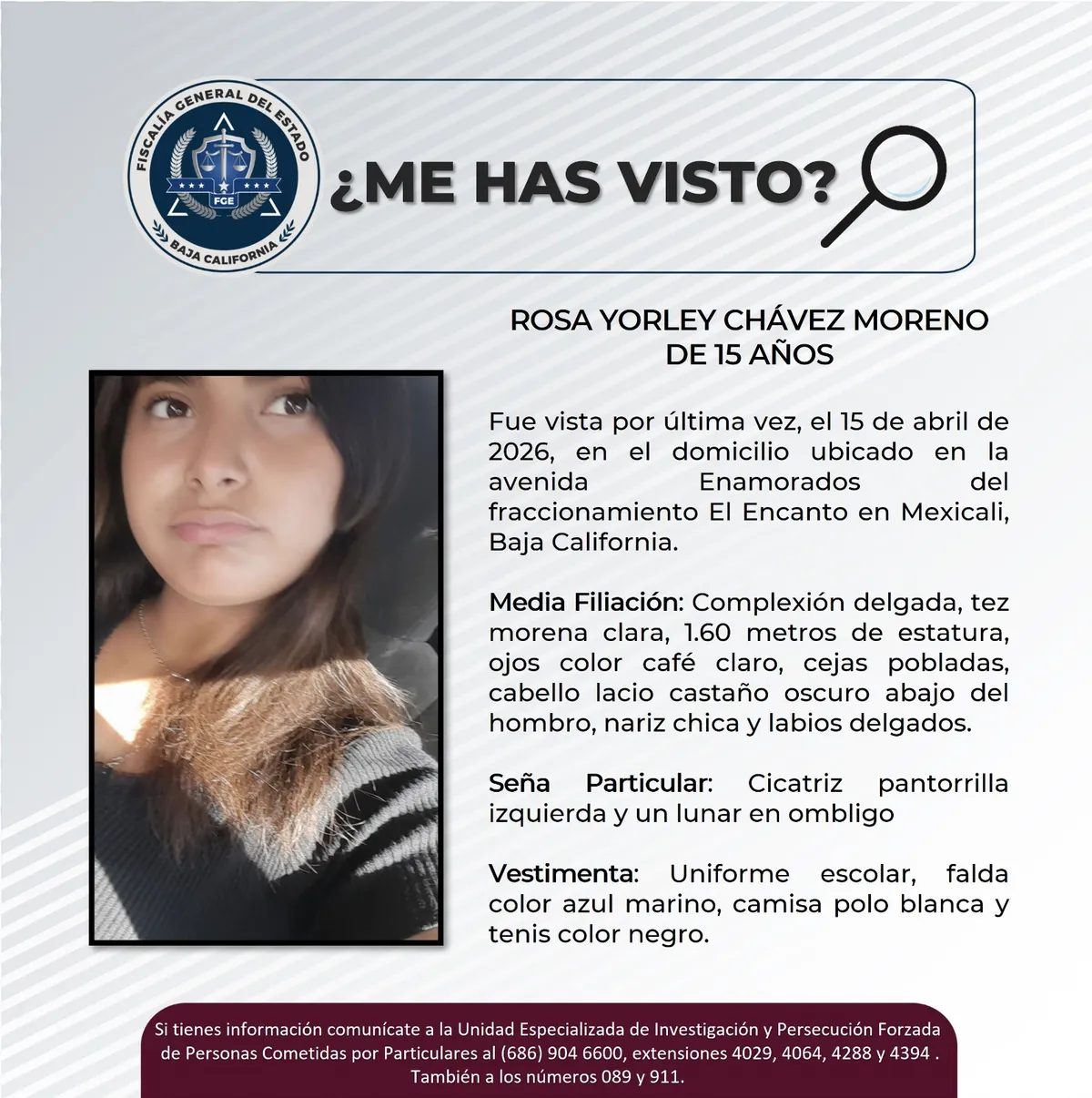 pesquisa_rosa_yorley_chávez_moreno_15