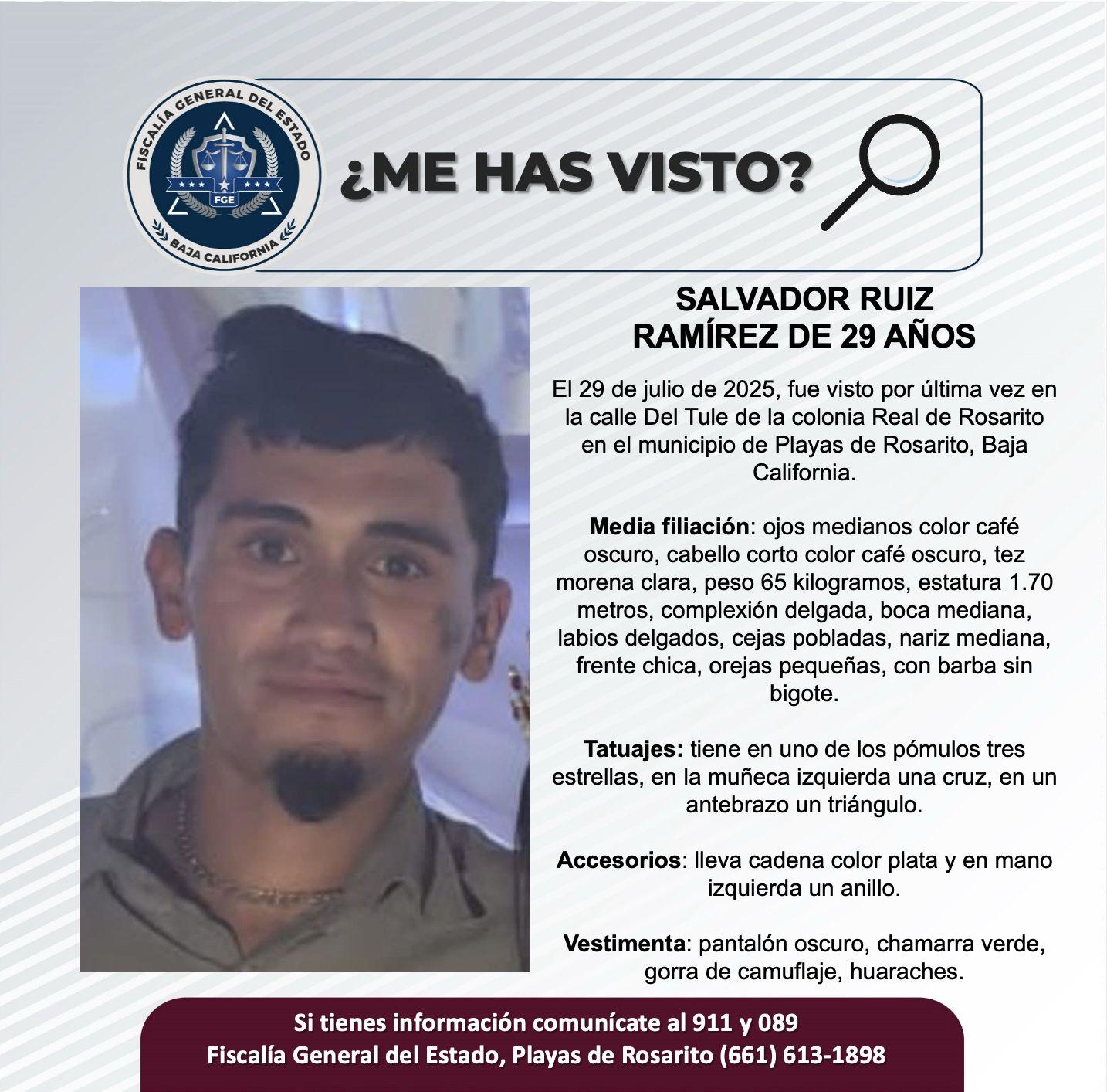 pesquisa_salvador_ruiz_ramírez_29