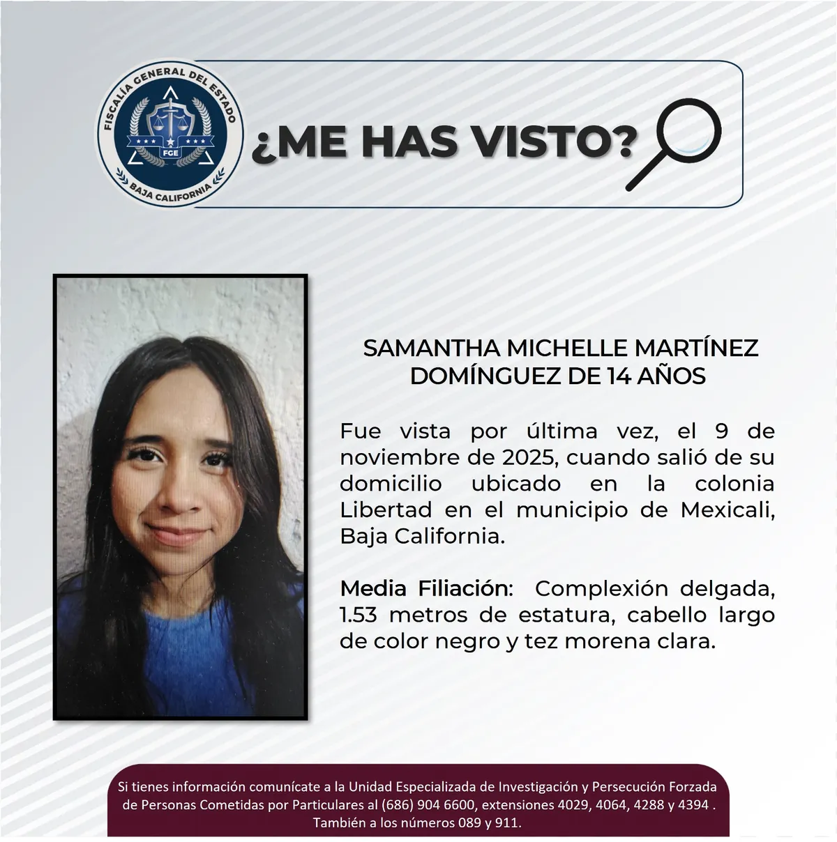 pesquisa_samantha_michelle_martínez_domínguez_14