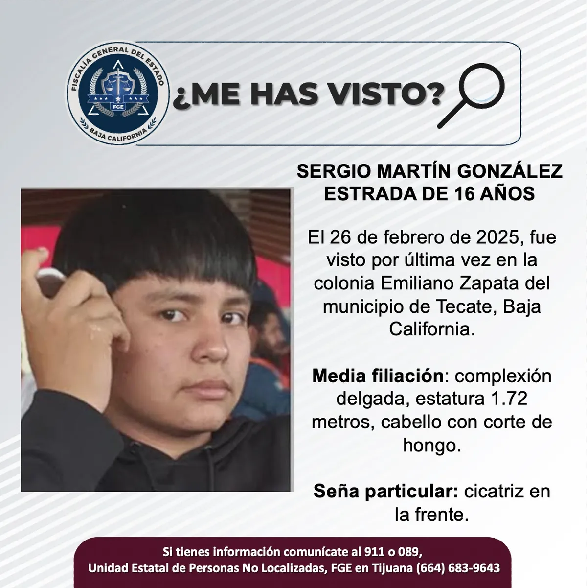 pesquisa_sergio_martín_gonzález_estrada_16