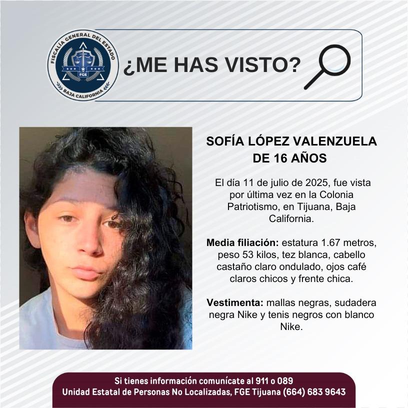 pesquisa_sofía_lópez_valenzuela_16