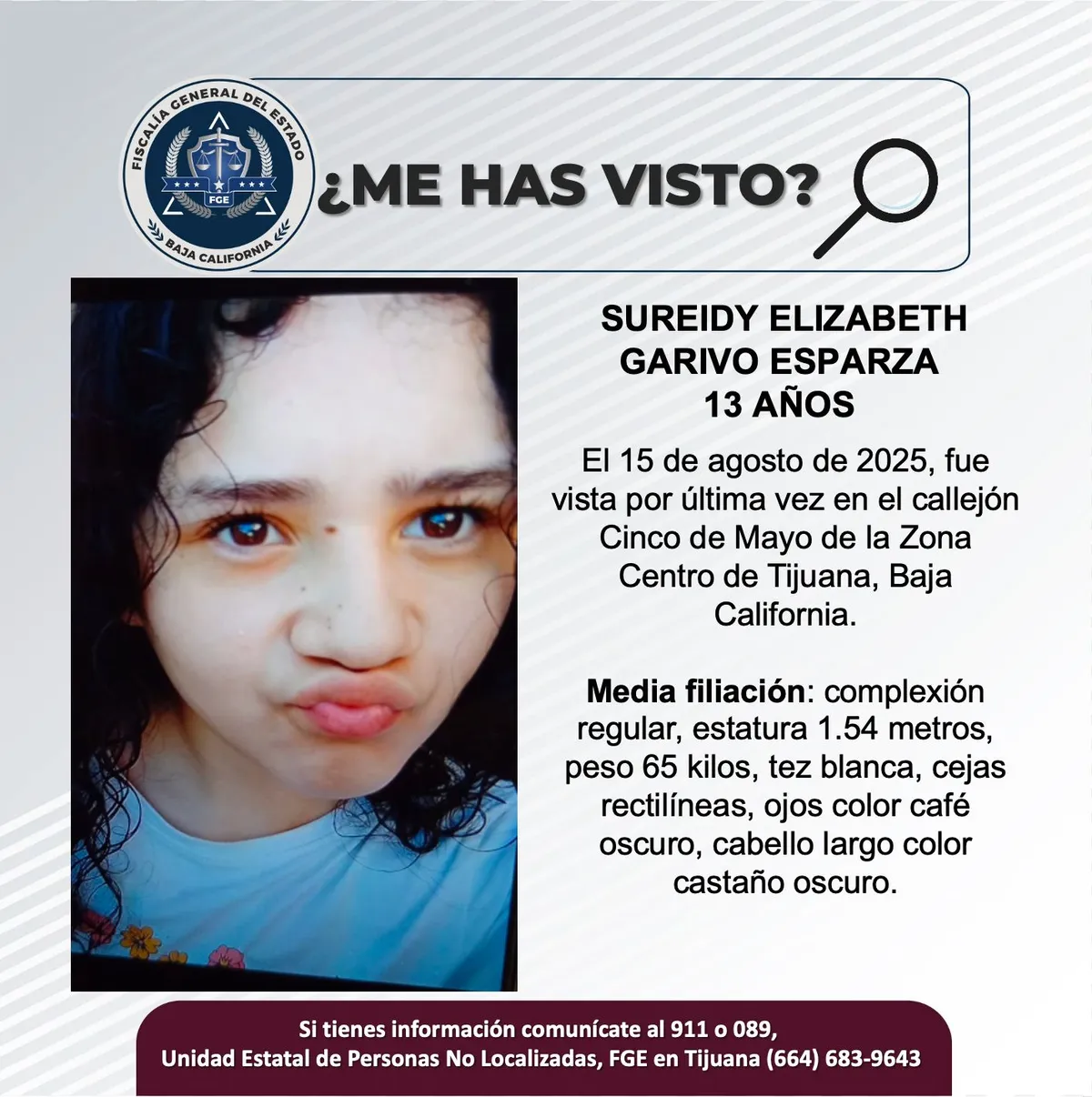 pesquisa_sureidy_elizabeth_garivo_esparza_13