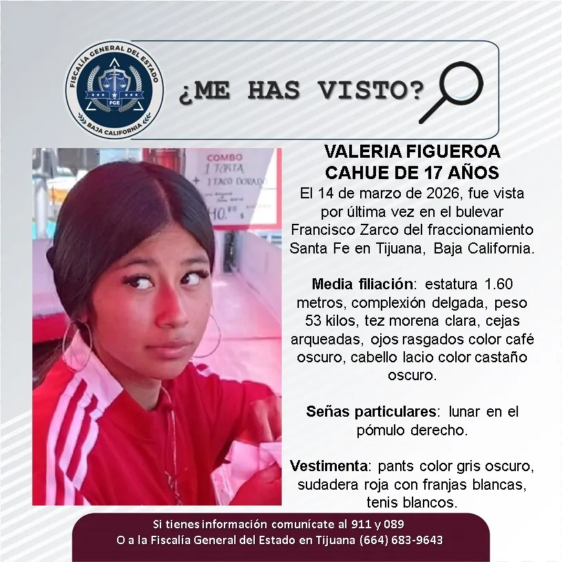 pesquisa_valeria_figueroa_cahue_17