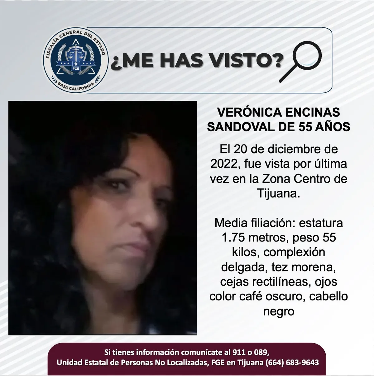 pesquisa_verónica_encinas_sandoval_55