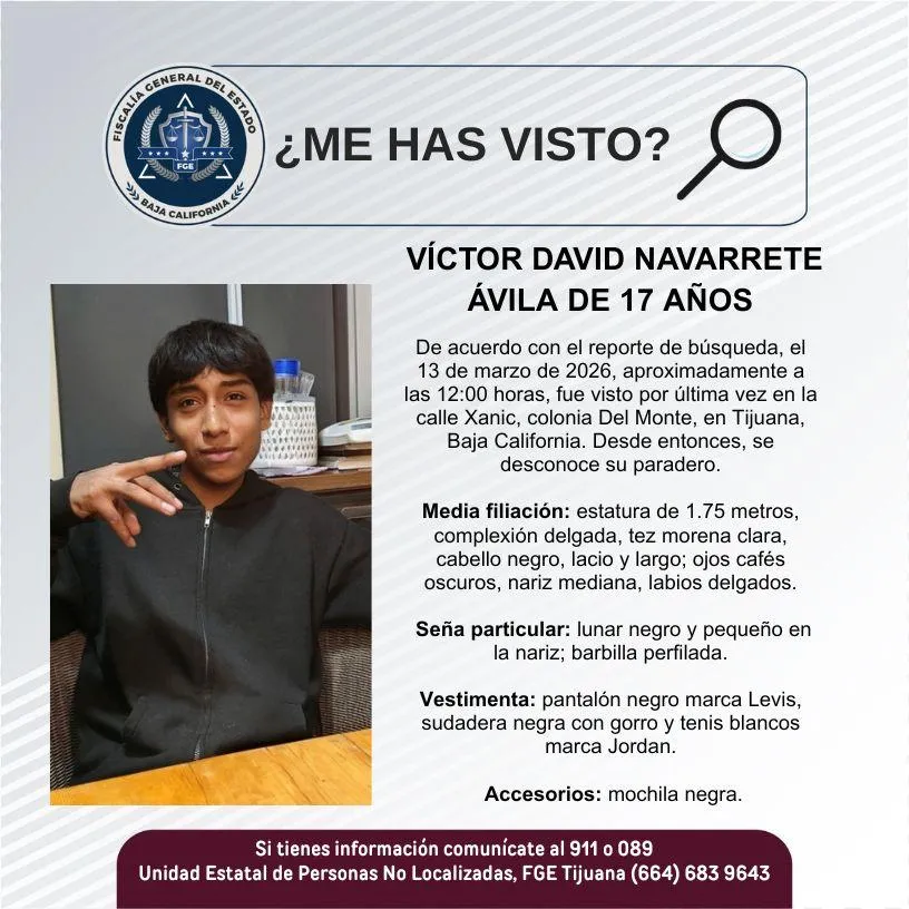 pesquisa_víctor_david_navarrete_ávila_17