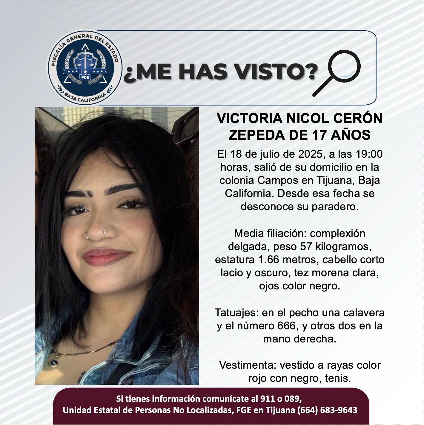 pesquisa_victoria_nicol_cerón_zepeda_17
