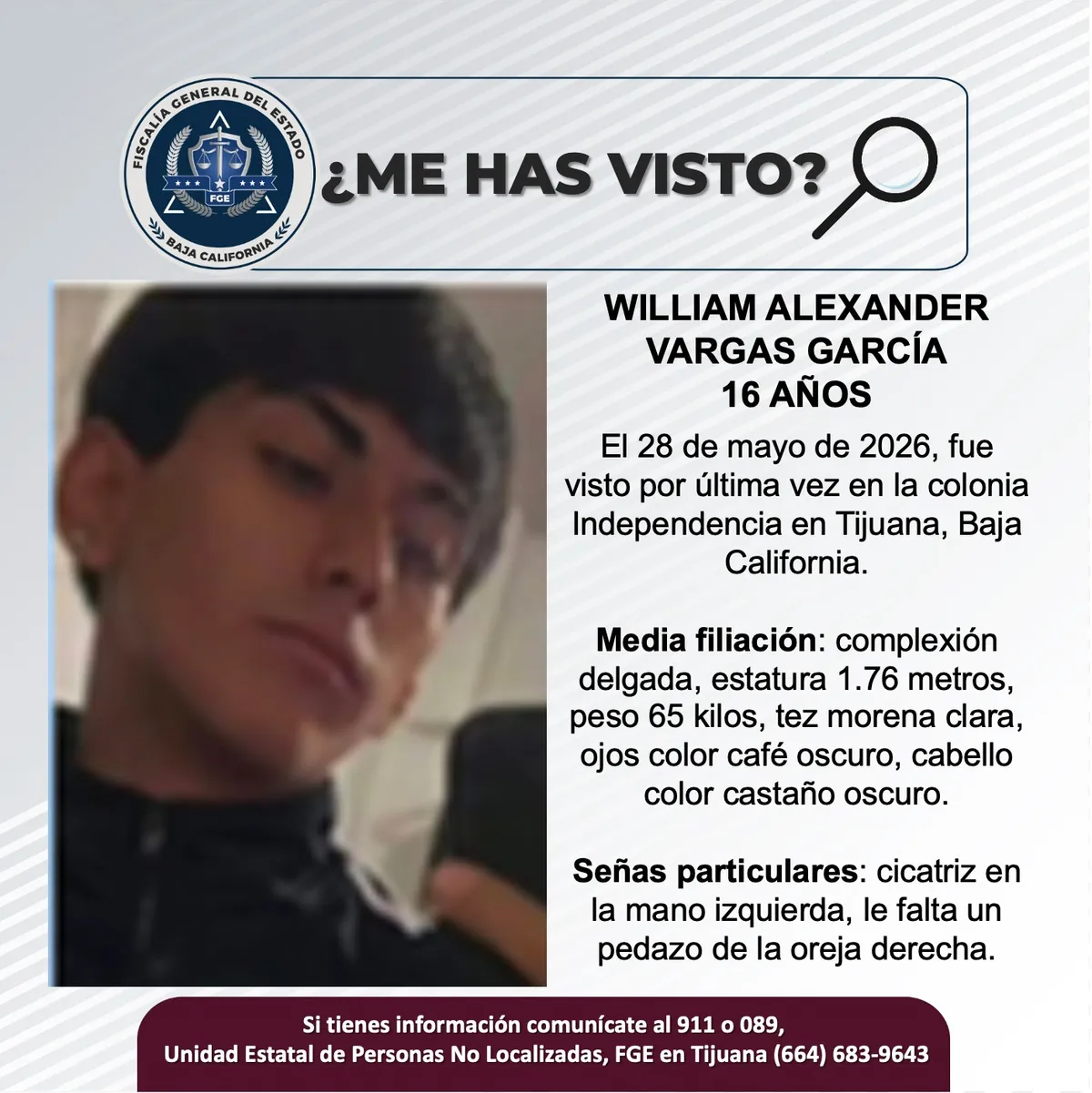pesquisa_william_alexander_vargas_garcía_16