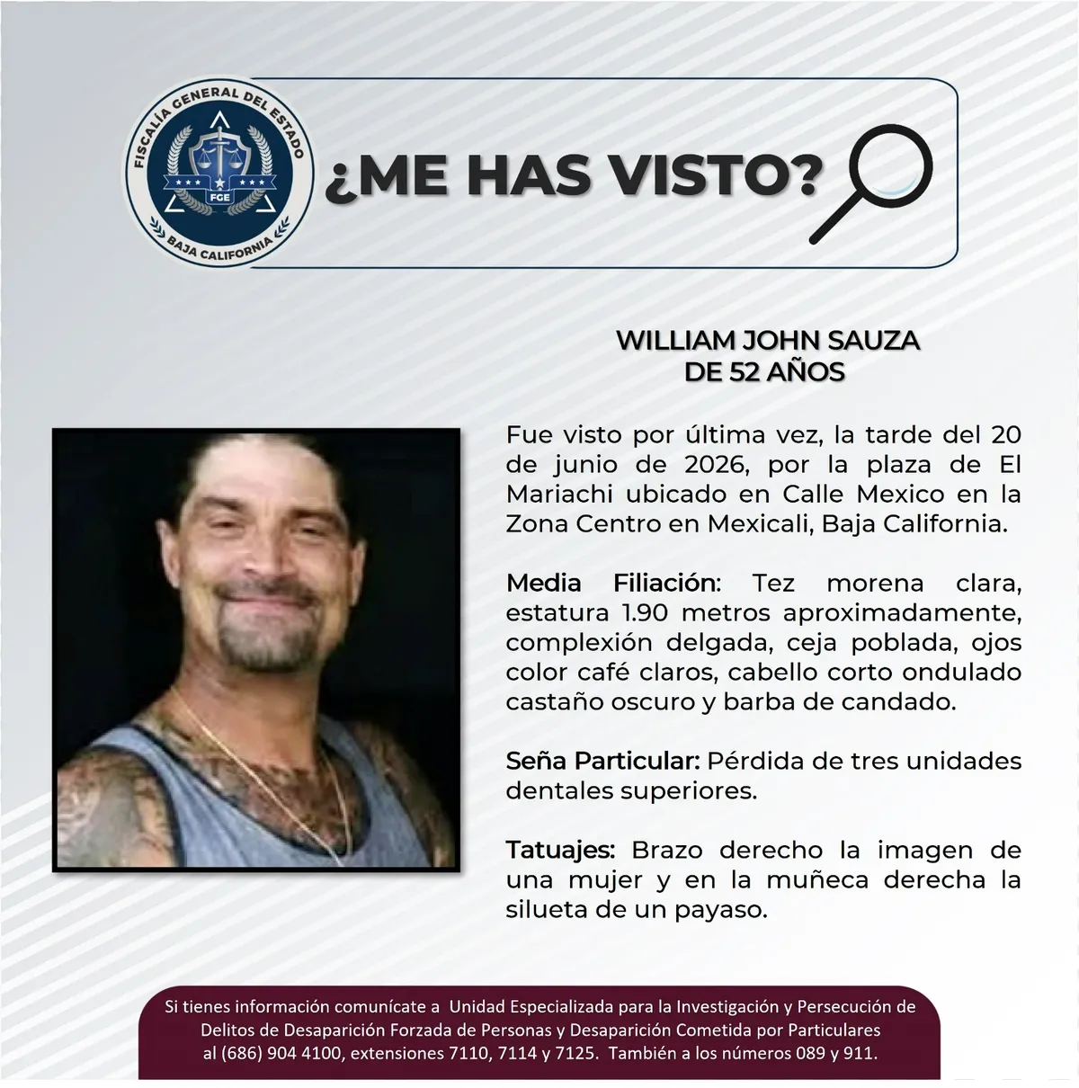 pesquisa_william_john_sauza_52