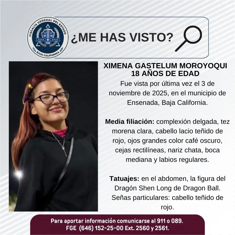 pesquisa_ximena_gastelum_moroyoqui_18