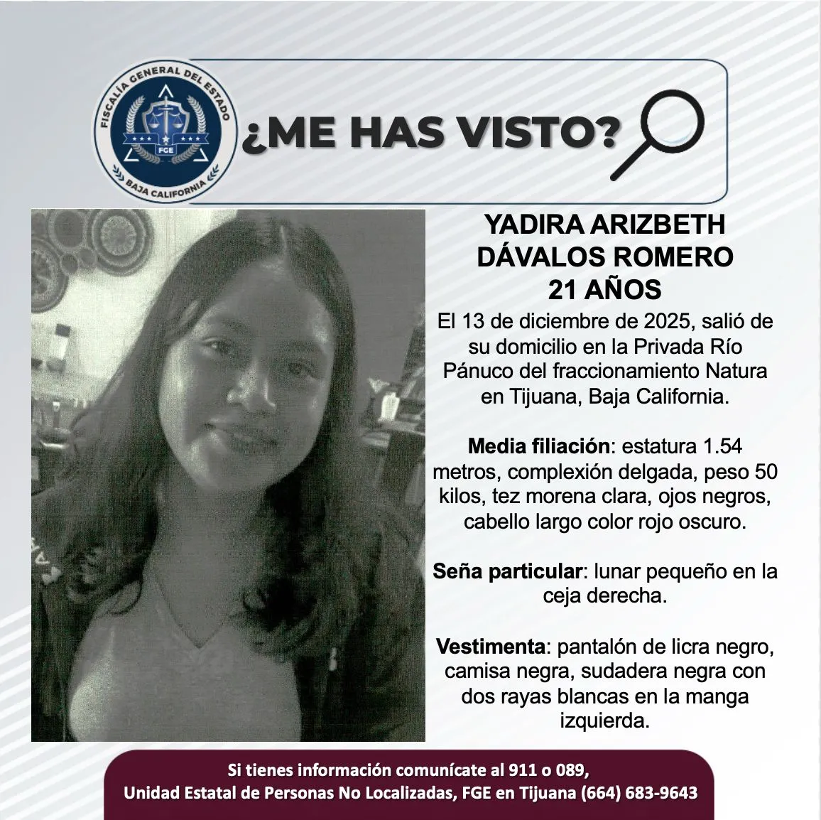 pesquisa_yadira_arizbeth_dávalos_romero_21