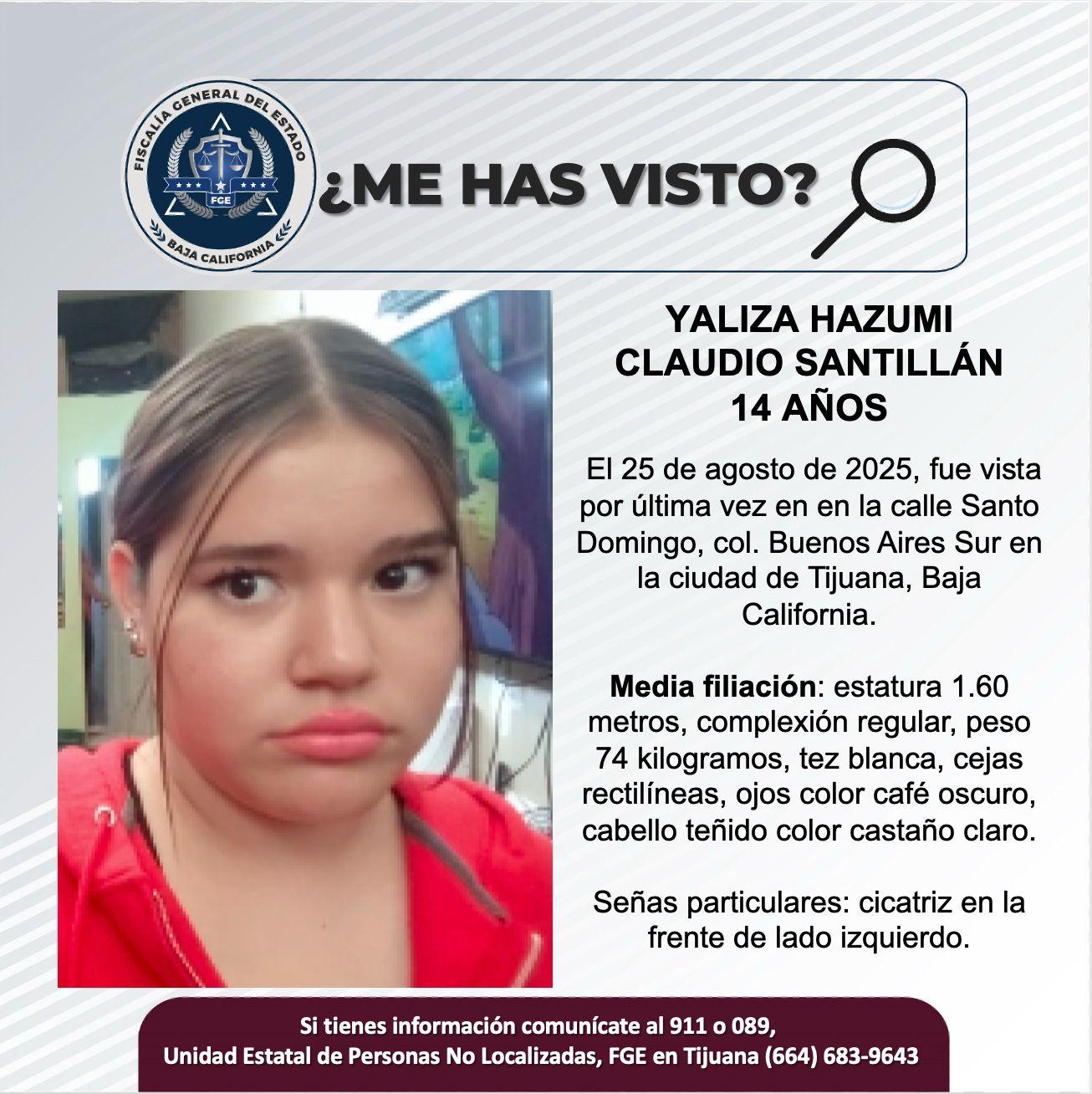 pesquisa_yaliza_hazumi_claudio_santillán_14