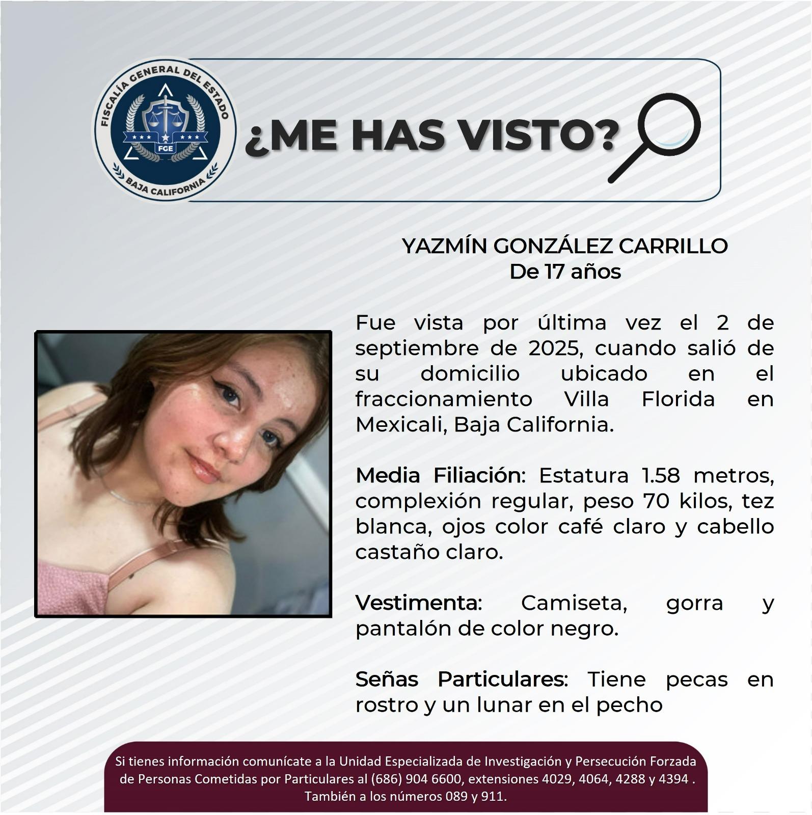 pesquisa_yazmín_gonzález_carrillo_17
