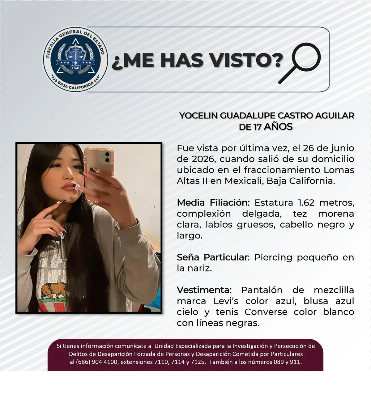 pesquisa_yocelin_guadalupe_castro_aguilar_17