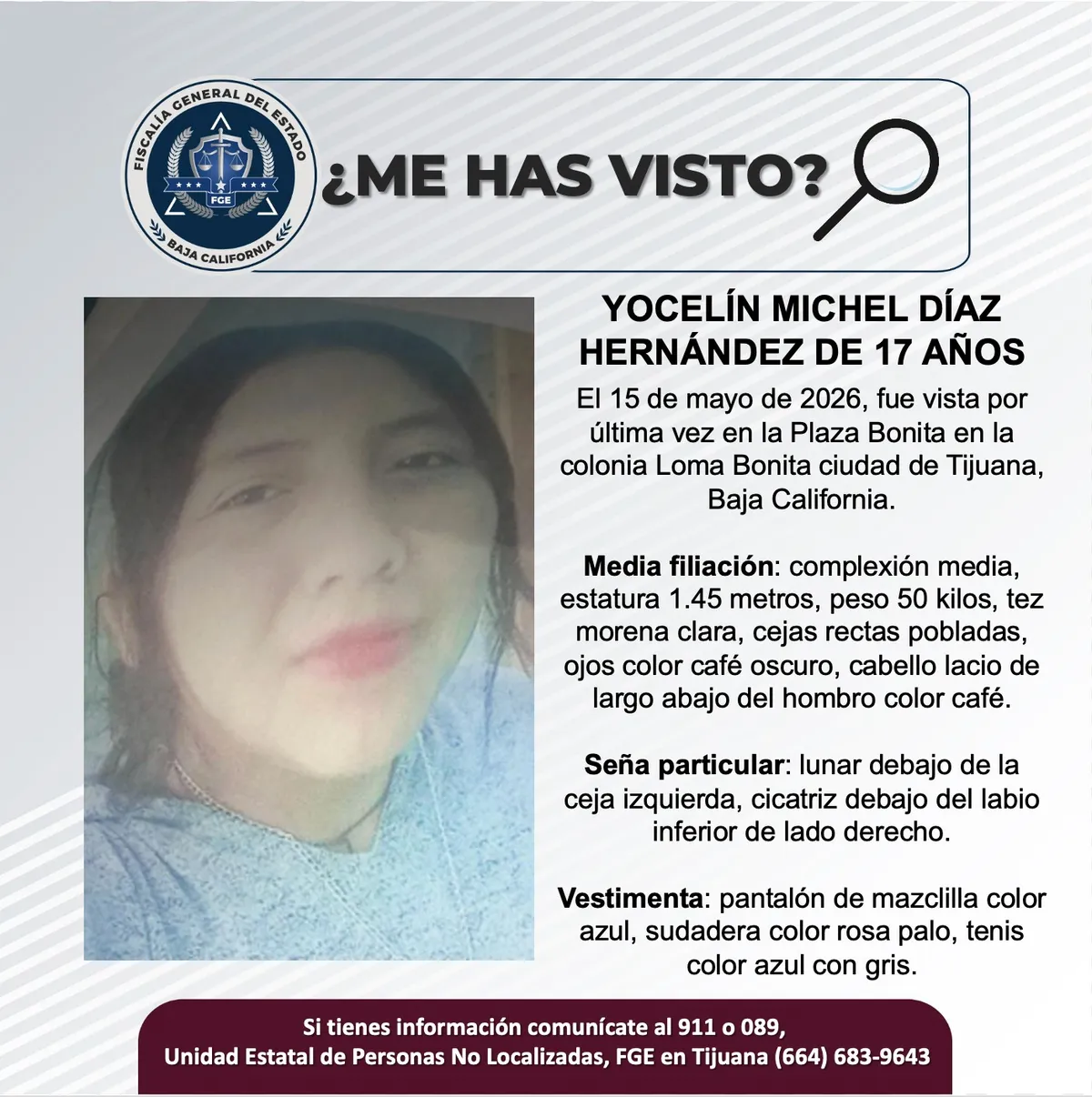 pesquisa_yocelín_michel_díaz_hernández_17