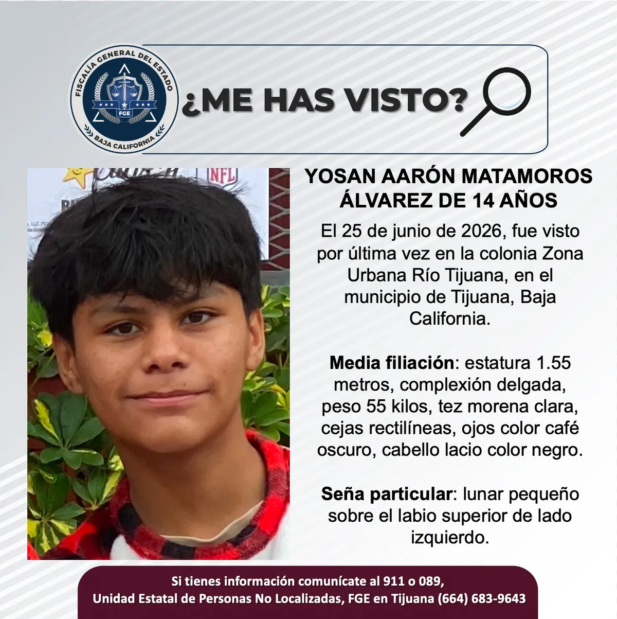 pesquisa_yosan_aarón_matamoros_álvarez_14