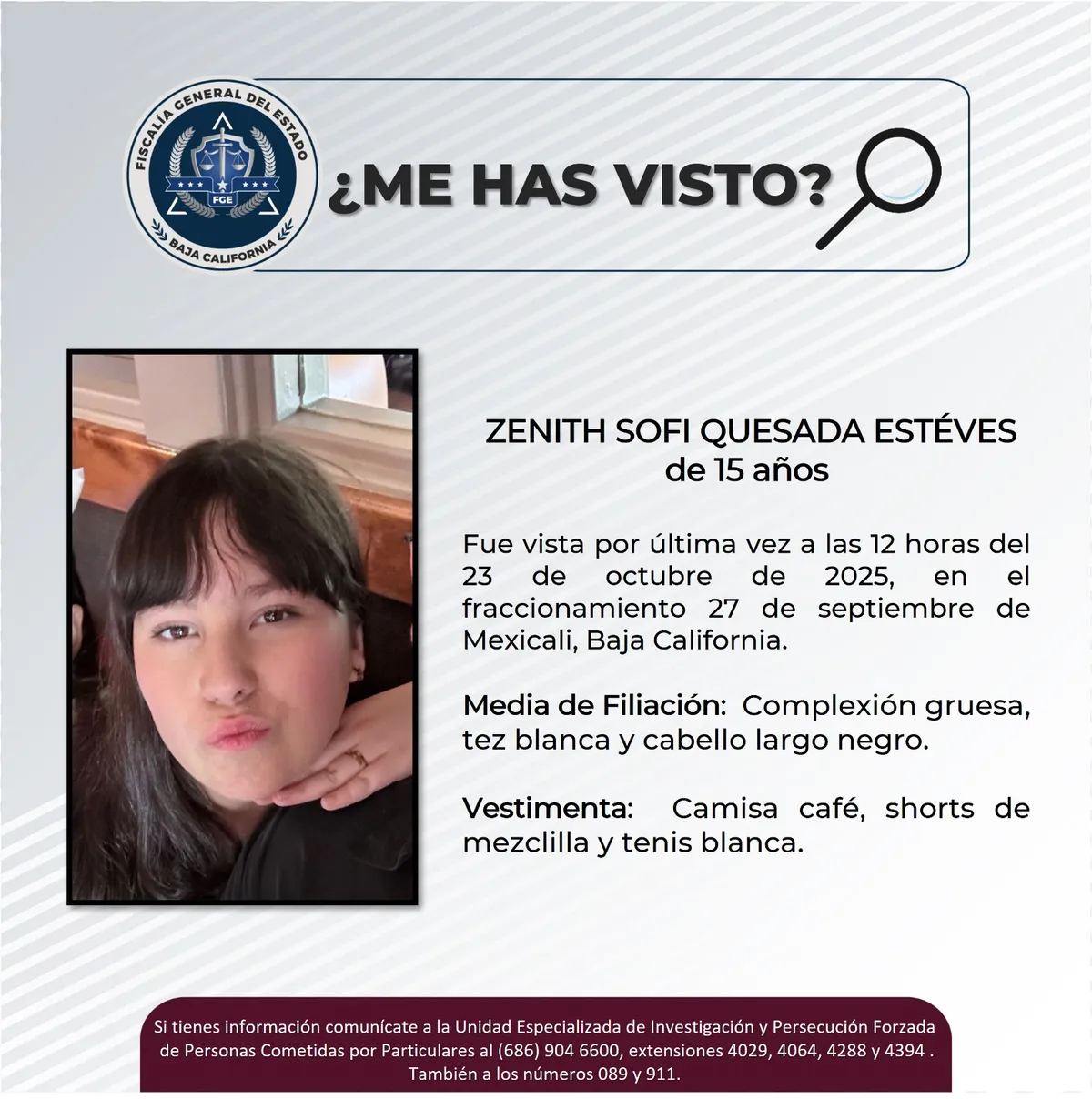 pesquisa_zenith_sofi_quesada_estéves_15