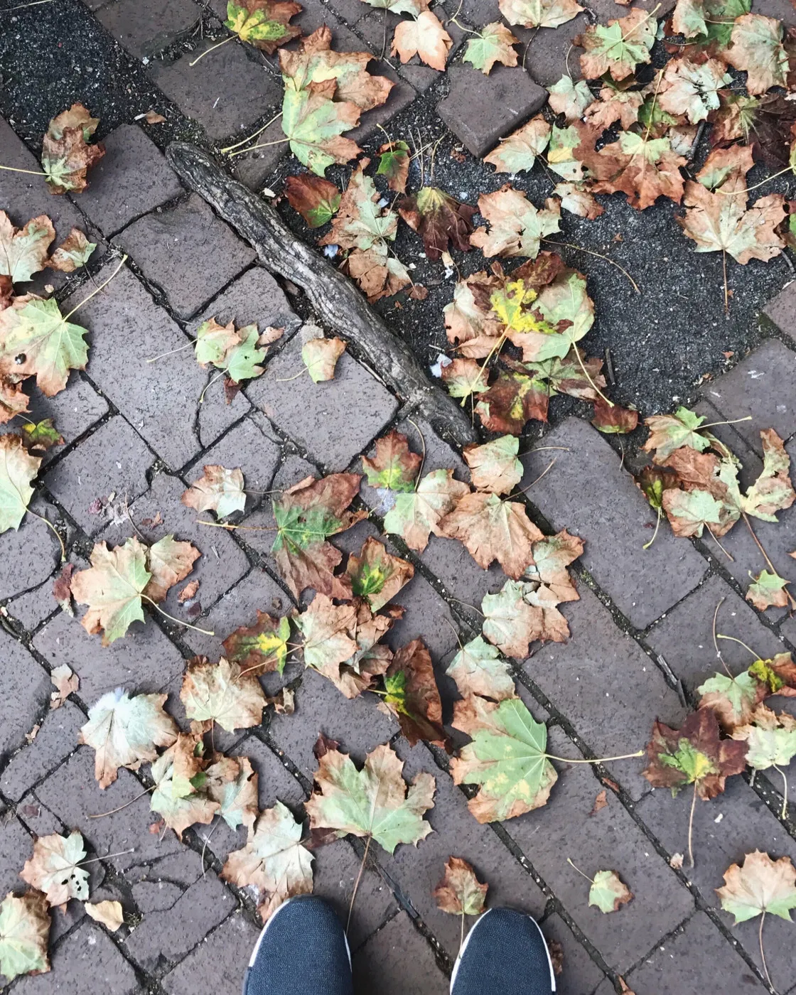 2016-09-27-13-16-15