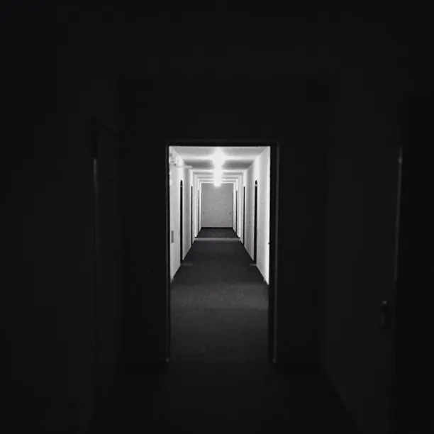 7bd004b10c9110395c4326d5747ec5df
