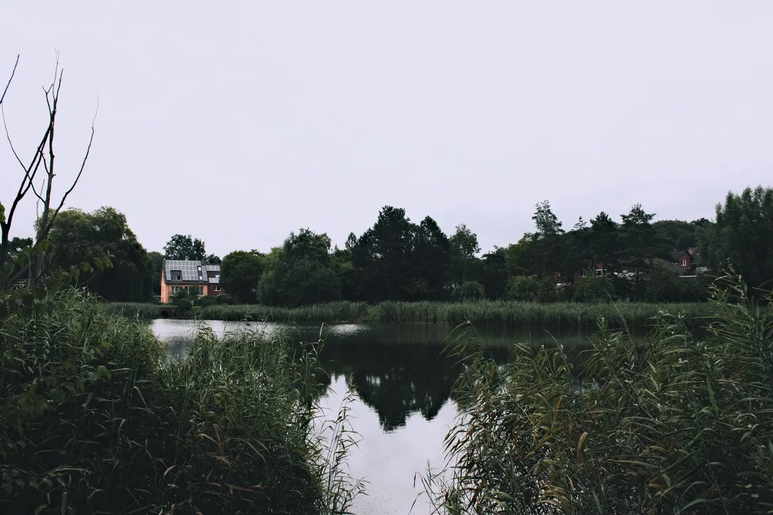 A67E2370-DF91-4322-AD07-CB430C8577AF_1_105_c